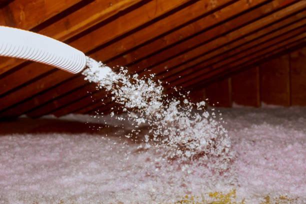 Professional Insulation Contractor in KS