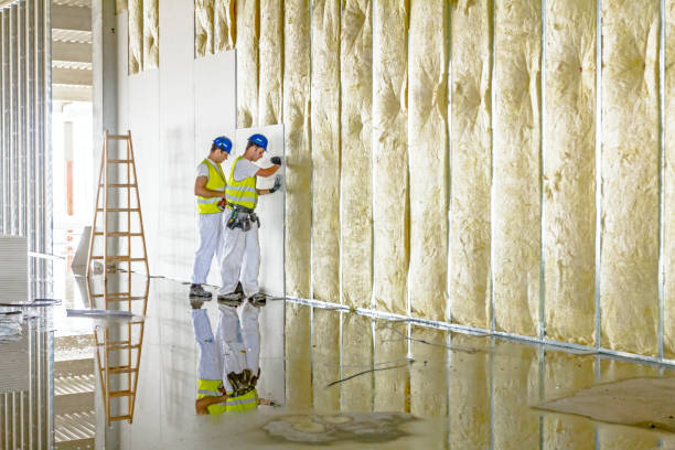 Best Insulation Maintenance and Repair in Fort Riley, KS